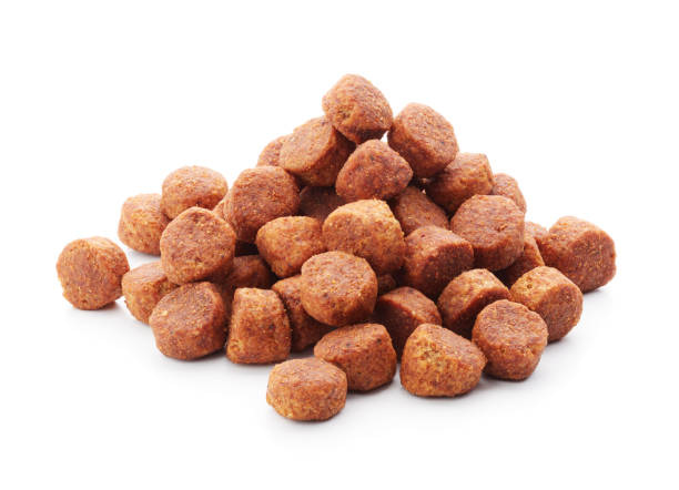 تصویر 4 از غذای سگ مخصوص توله حاوی پروتئین با هضم آسان